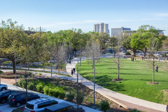 Avenue Grove